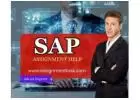 How to Write SAP Assignment? Choose AssignmentTask for A+
