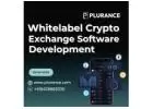 Start your own crypto trading platform with our whitelabel crypto-exchange solution