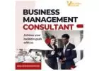 Business Management Consultants