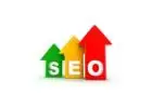 Search Savvy Discovering the Best SEO Company  India