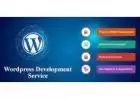 Get the Best WordPress Development Services in Delhi from InvoIdea