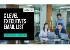 Best C-Level Executives Email List in USA-UK
