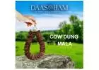 Cow Dung Patties Amazon