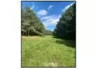 Pike County MS Land for Sale