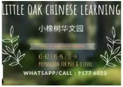Best Chinese Enrichment Class in Serangoon