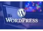 Invoidea is the Best Custom WordPress Development Company in India