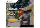 Leading Wild Forest Honey Manufacturers - Aravali Honey Industries