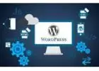 Invoidea Provides Top Custom WordPress Development Services in India