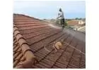 Best Service for Roof Cleaning in Palm City