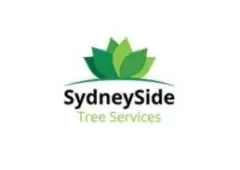 Top-Quality Tree Lopping Services in Sydney : Enhance Your Property