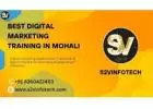 S2vinfotech Best digital marketing institute in Mohali with s2vinfotech 100% Job Placement