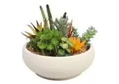 Grab These Stunning Artificial Succulents and Orchids at Wholesale Prices