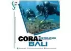 Coral Restoration Bali