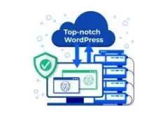 Unveiling the Top WordPress Hosting Providers in India: A Comprehensive Guide