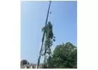 Best Service for Tree Removal in Yorktown