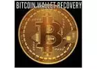 Recovery of Crypto Sent to the Wrong Wallet Address