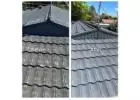 Best Service for Roof Treatment in Mayfair