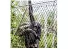 BMP: Leading the Way in Zoo Mesh and Aviary Netting Solutions Since 2006