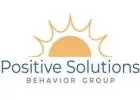 Positive Solutions Behavior 