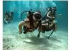 Diving Dominican Republic