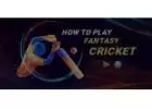 Elevate Your Cricket Fantasy: A Comprehensive Guide to Radhe Exchange Login and Sign Up