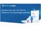 Chief Of Obstetrics Gynecology Email Database - Buy Top-Quality Leads