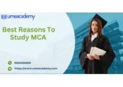 Top Best Reasons To Study MCA