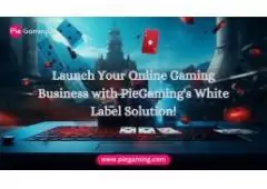 Launch Your Online Gaming Business Today with PieGaming's White Label Software!