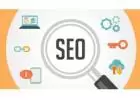 Highly-Rated SEO Company in Delhi