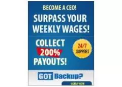 Backup and earn money