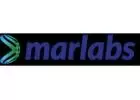 Digital Transformation Conculting and IT Services Company Marlabs
