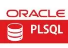 Oracle SQL & PLSQL Online Training Real Time Support In India
