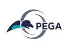 PEGA 8.1 (CSA & CSSA)Online Training Coaching Course In Hyderabad