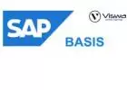 Sap BASIS Online Training by VISWA Online Trainings - USA | UK | India | Canada