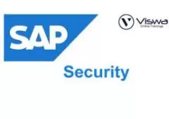 SAP Security Online Training & Certification From India