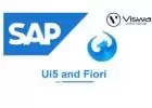SAP UI5 / FIORI Online Training in India, US, Canada