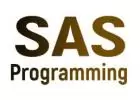 SAS Programming Course Online Training Classes from India ... 
