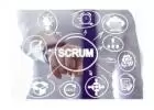 SCRUM Master / Agile Online Training - India, USA, UK, Canada