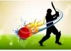 Online ID Cricket Provider | Cricket ID Online | Go Cricket ID