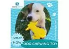 Interactive Dog Chewing Toy: Promoting Healthy Playtime