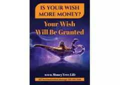 Is Your Wish More Money? Your Wish Will Be Granted...