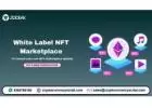 To Launch your own NFT marketplace quickly