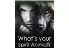 Animal Spirituality: Exploring with a Spiritual Healer Near Me【✚２７７２５７７０３７６】