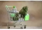 Fast Less Than 2 hours Weed Delivery in Hamilton