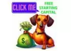 Bank-Granted Capital & Daily Compounding: The $100 Retirement Secret!