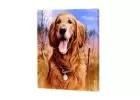 Capture Canine Charm: Precious Diamond Paintings Featuring Dogs & Puppies!