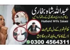 Get Your Ex-Husband Back Get Your Lost Love Back Husband Wife Problems Solutions