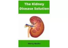 Kidney Health and Kidney Disease Basics