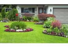 Best Service for Landscaping in Colchester