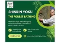 Shinrin Yoku: The Healing Power of Forest Bathing